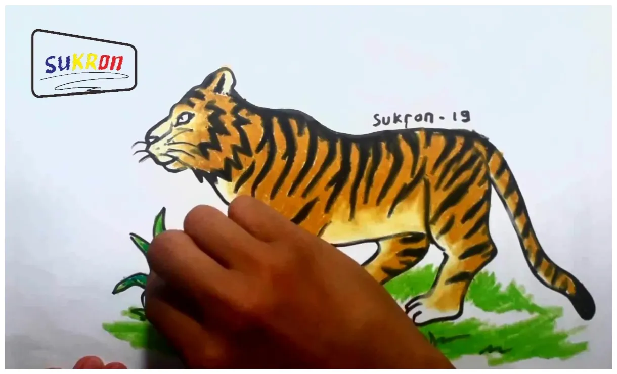 Mewarnai gambar macan 55+ koleksi gambar