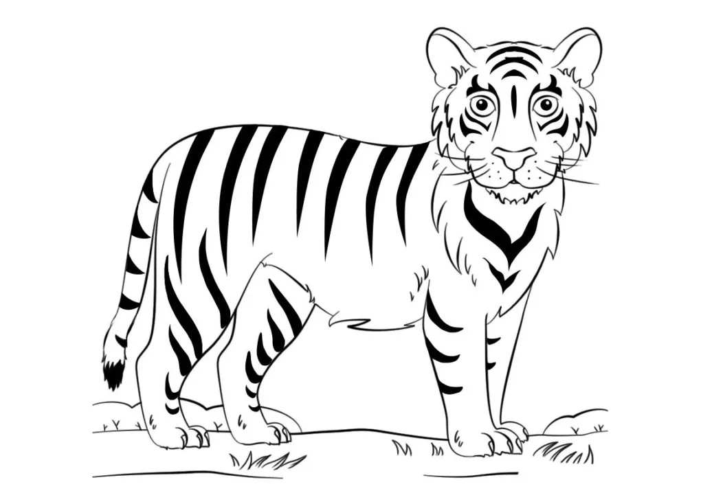Mewarnai gambar macan 55+ koleksi gambar