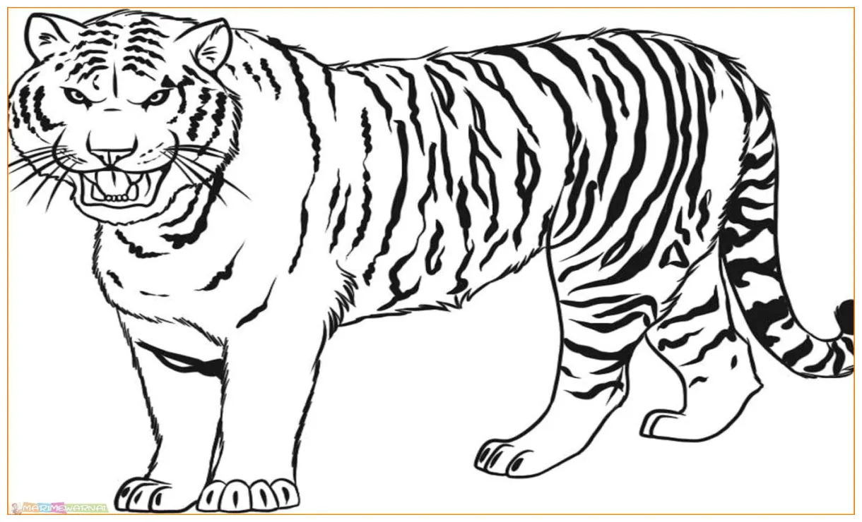 Mewarnai gambar macan 55+ koleksi gambar