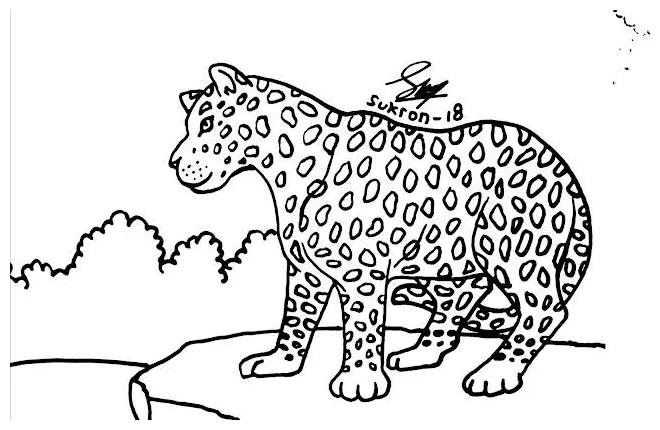 Mewarnai gambar macan 55+ koleksi gambar