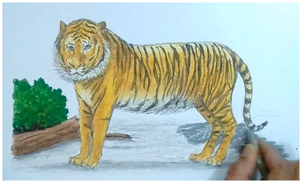 Gambar mewarnai Detail mewarnai gambar macan koleksi nomer 23 siap cetak