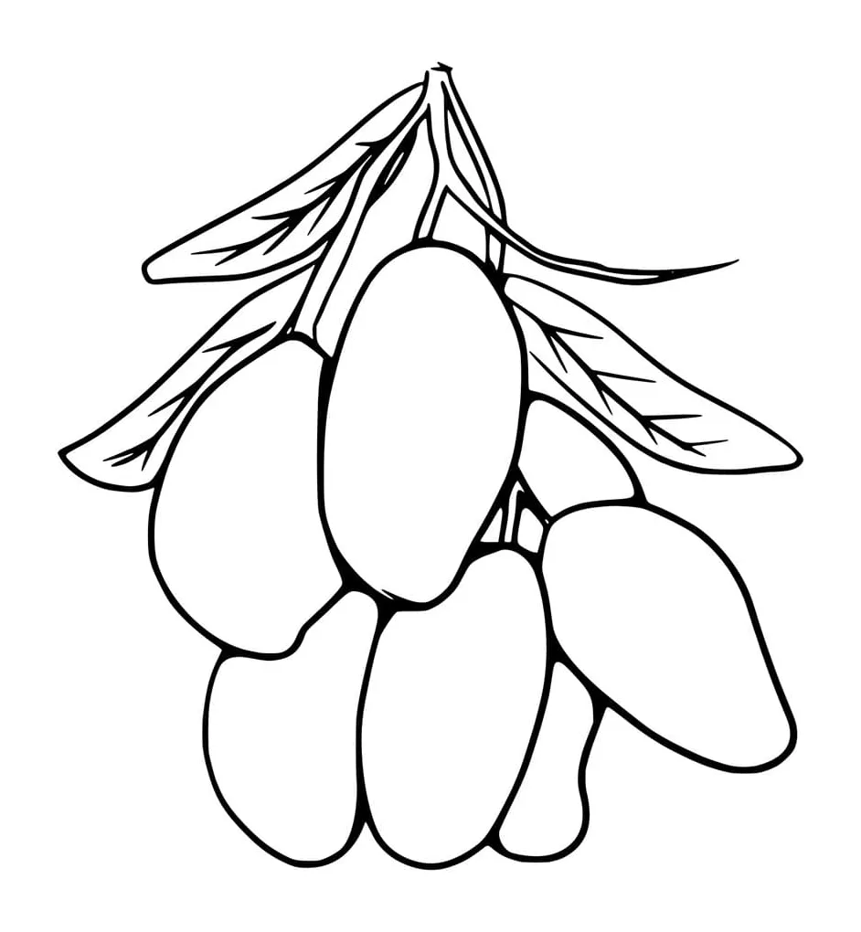 Tujuh mangga