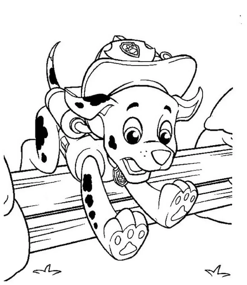 Cute marshall paw patrol coloring page download, print or color