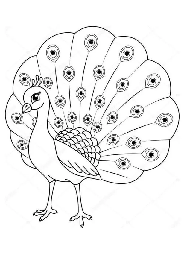 Burung merak kecil