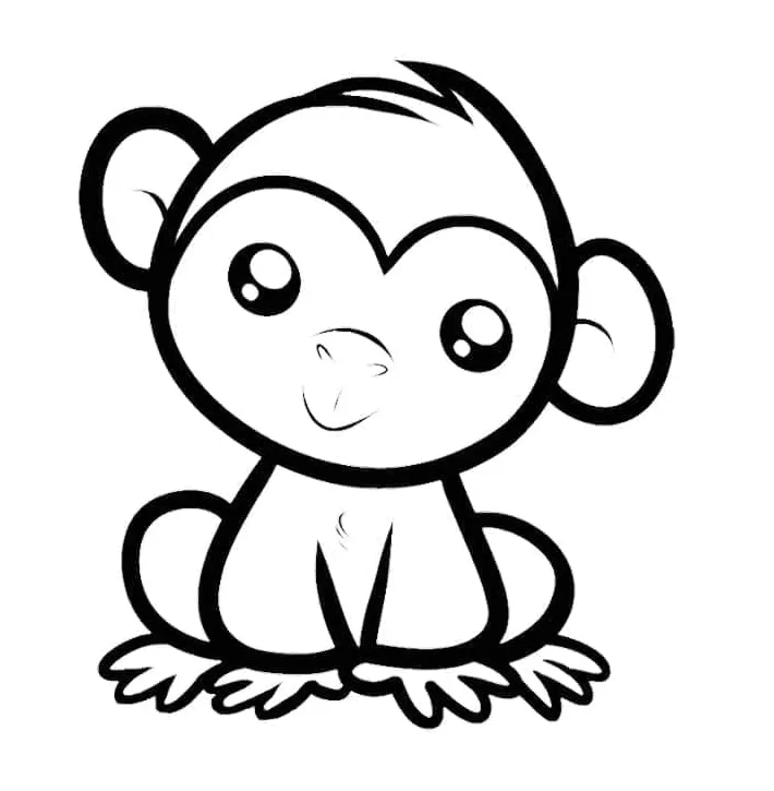 Monyet kawaii