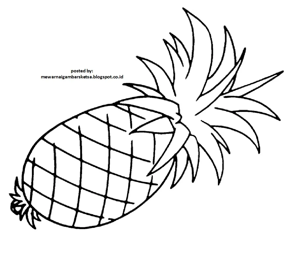 Gambar mewarnai gambar sketsa nanas 2 anak tk di rebanas rebanas