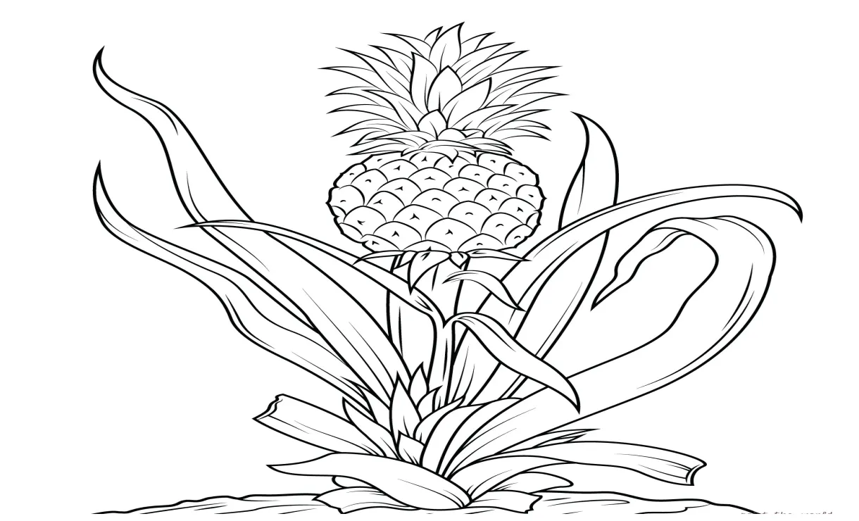 √15+ gambar mewarnai buah nanas untuk tk dan sd marimewarnai
