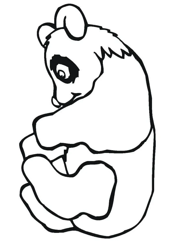 Panda yang luar biasa