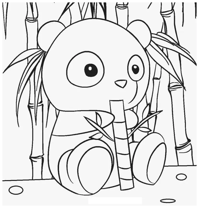Panda kecil makan bambu