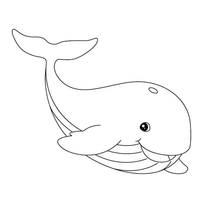 Ikan paus menyenangkan