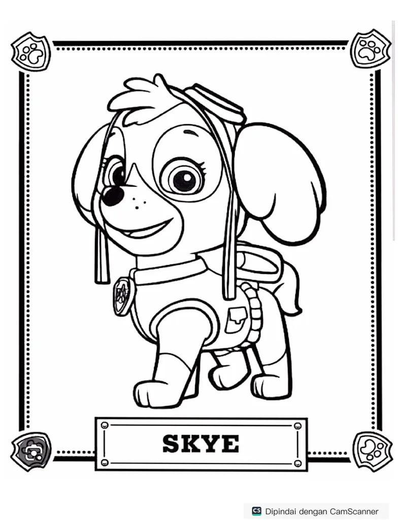 Sky pdf
