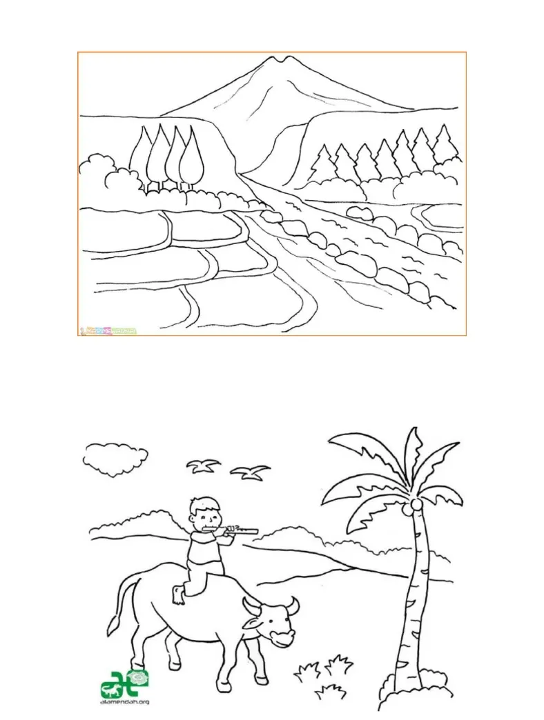 Pdf