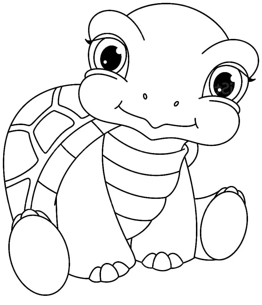 Penyu Kecil