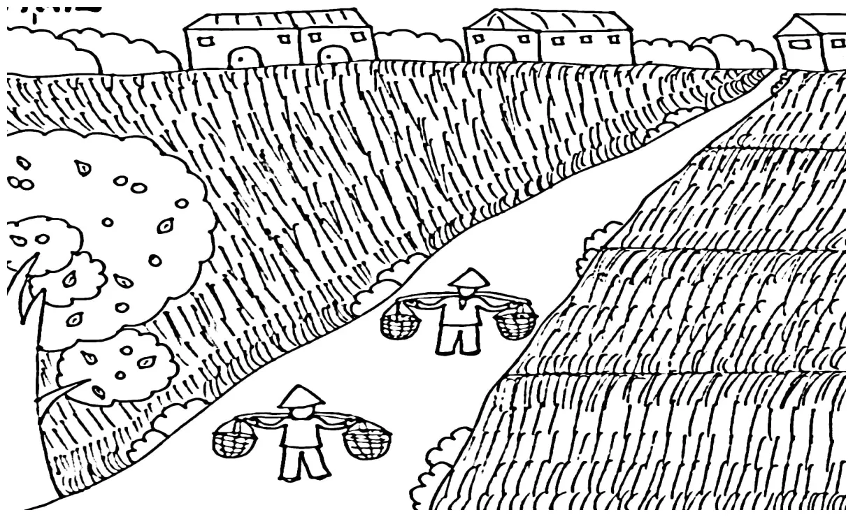 Jalan antar sawah