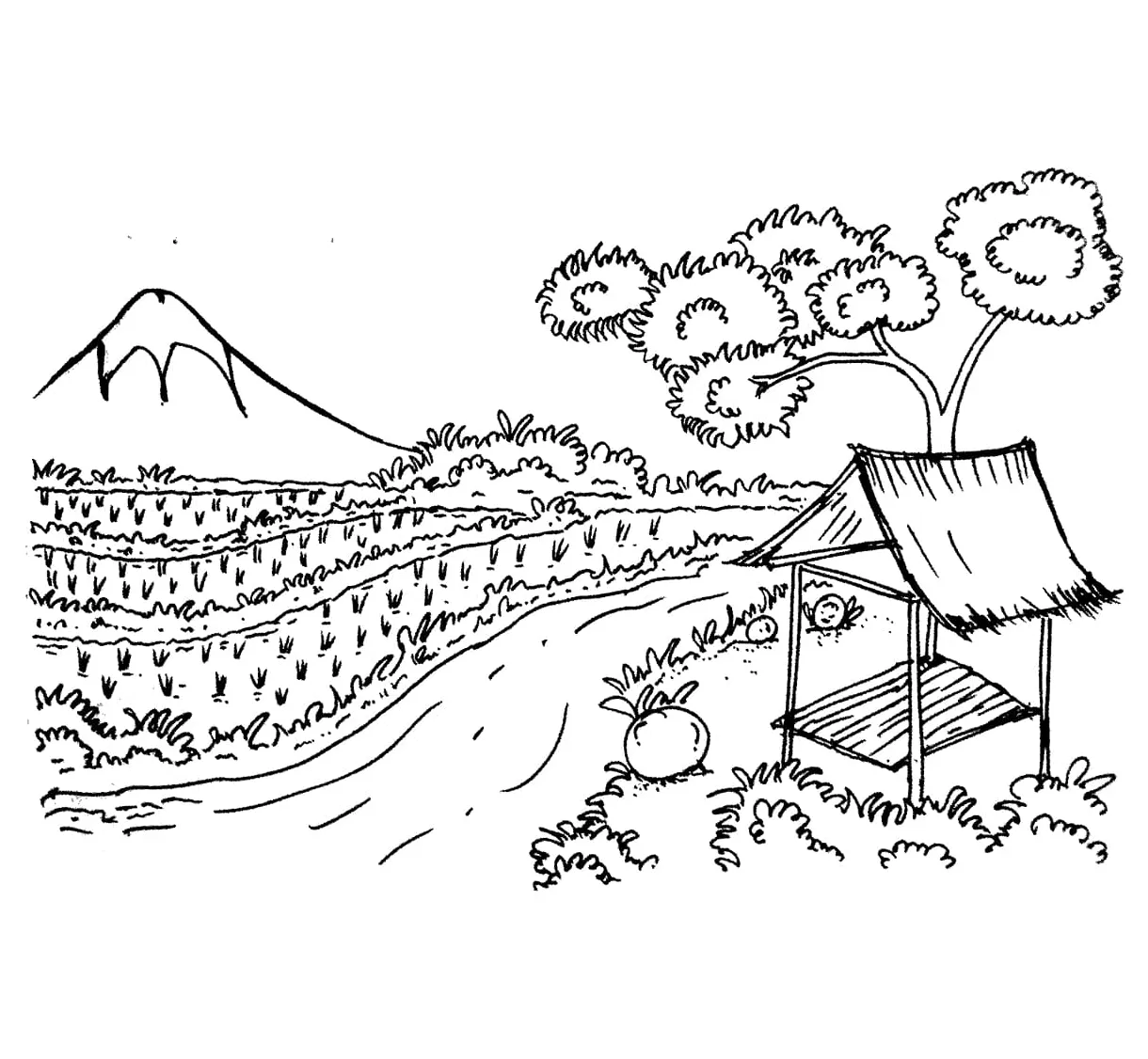 Sawah di pedesaan