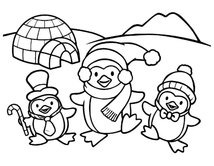 Tiga penguin lucu