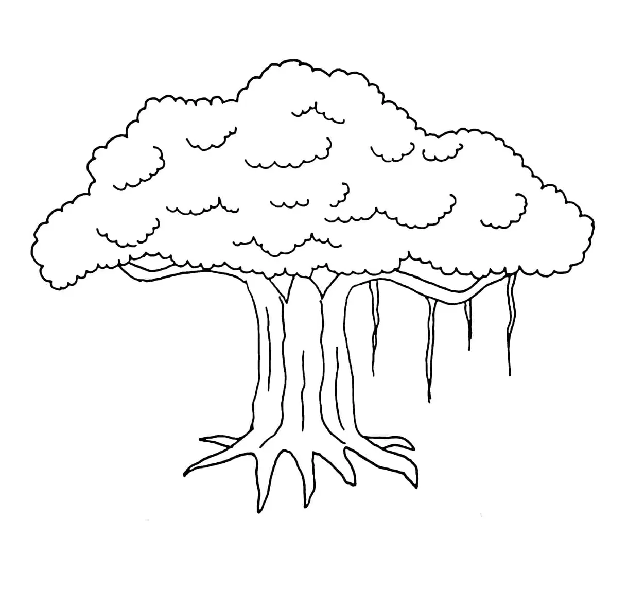 Pohon beringin dasar