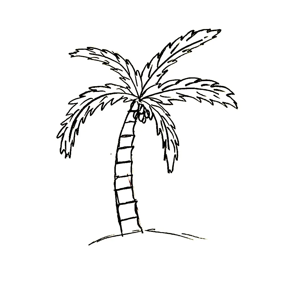 Menggambar pohon kelapa