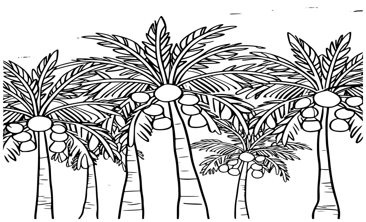 Pohon kelapa mempunyai banyak buah