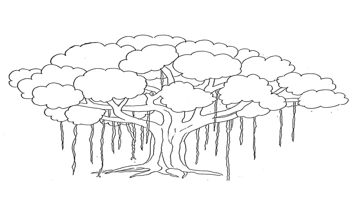 Pohon beringin
