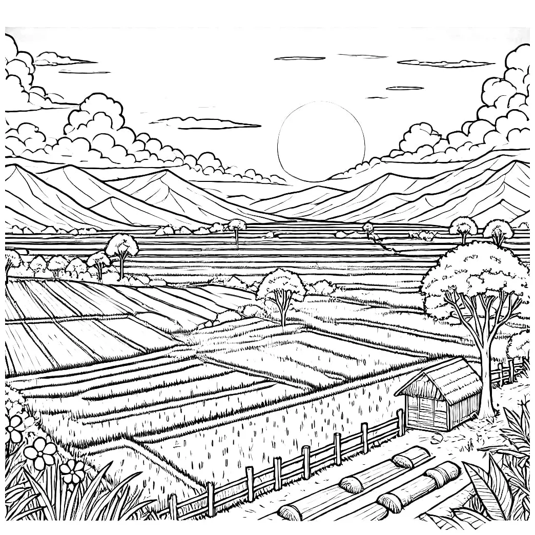 Sawah saat fajar