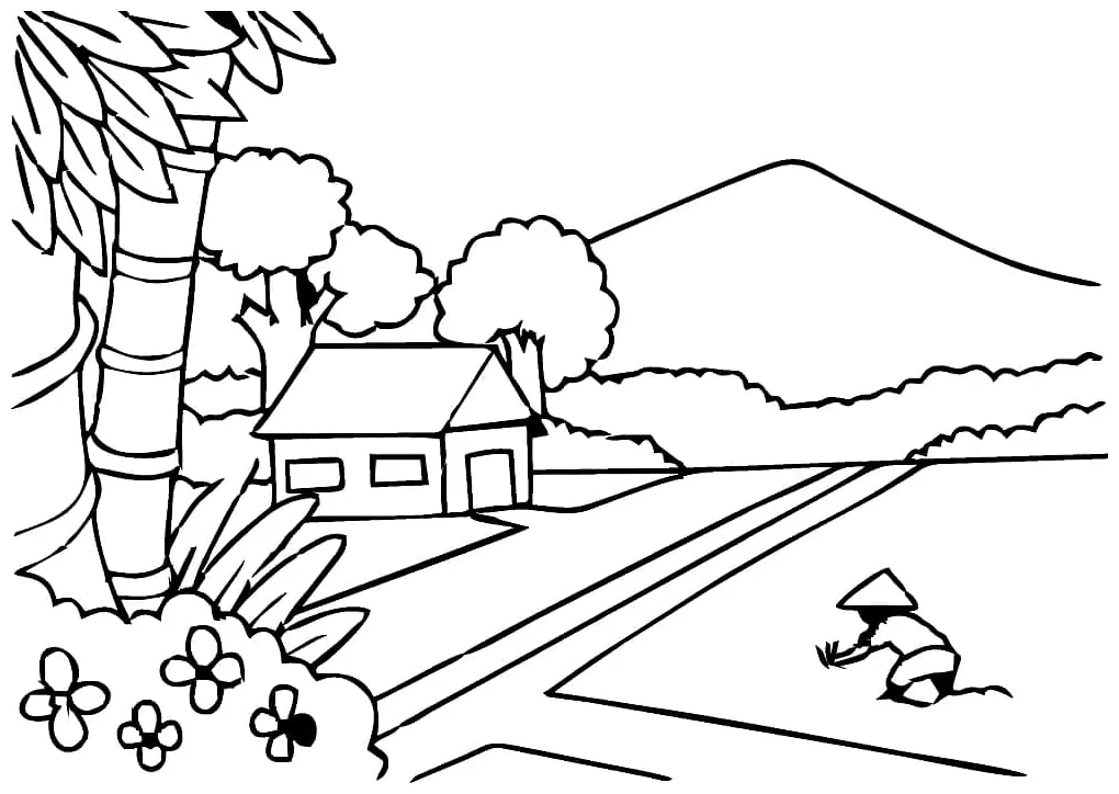 Sawah yang damai