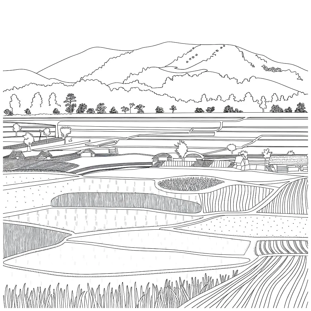 Sawah impian