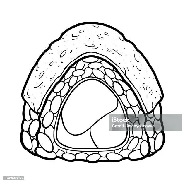 Buku sushi roll dengan telur dadar ilustrasi stok