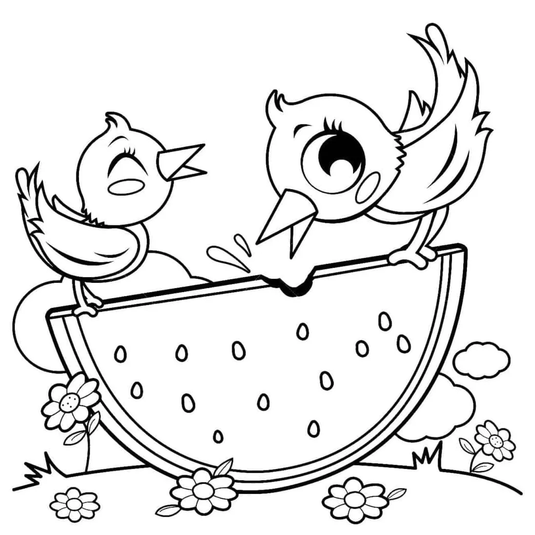 Burung Makan Semangka