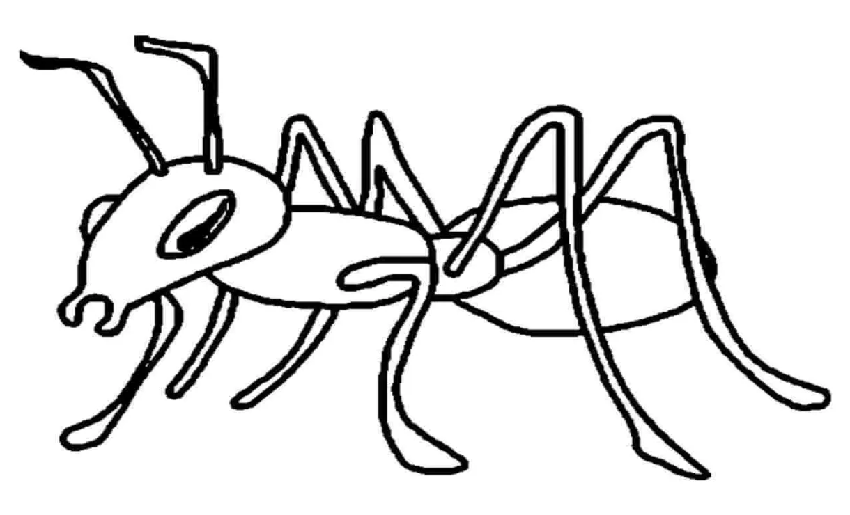 Gambar tangan semut