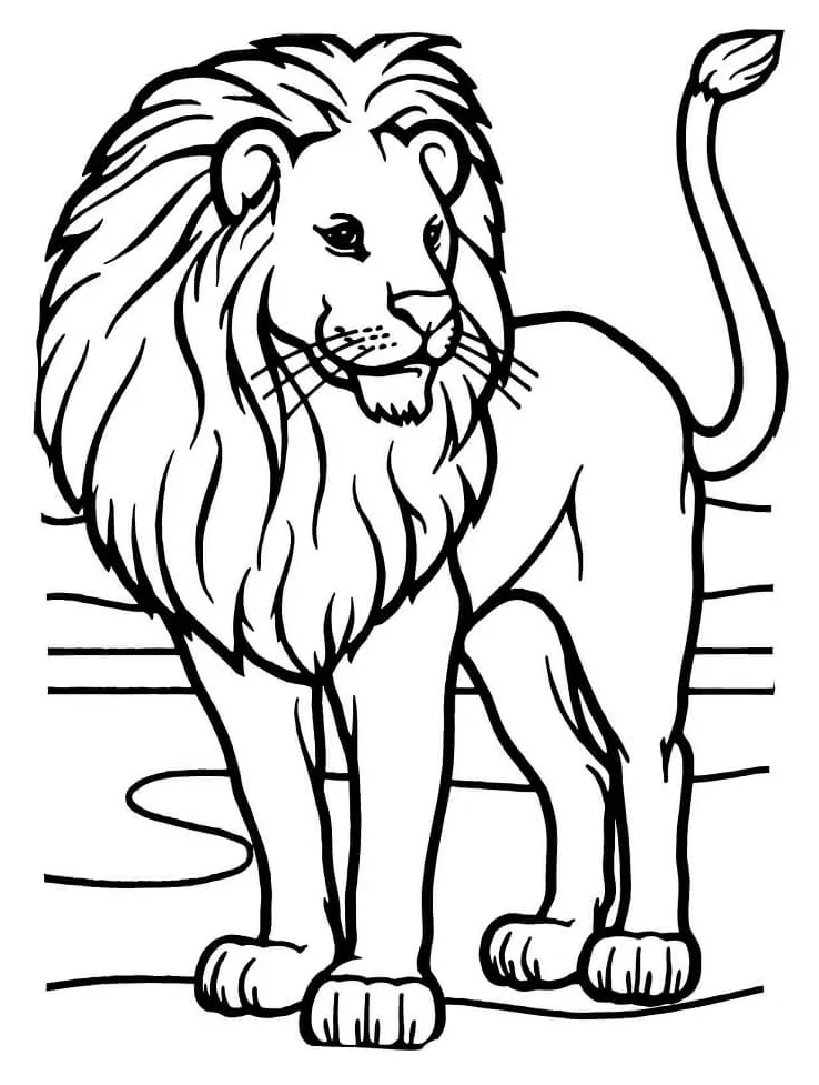 Singa simples