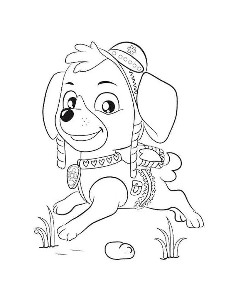 Skye paw patrol boyama sayfaları boyama online