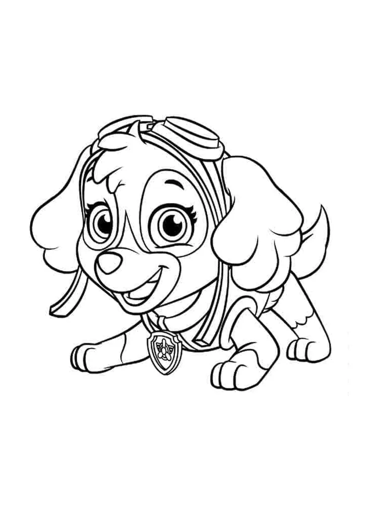 Happy skye paw patrol coloring page download, print or color online