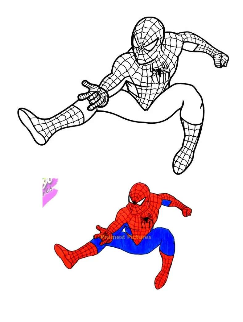 Pdf