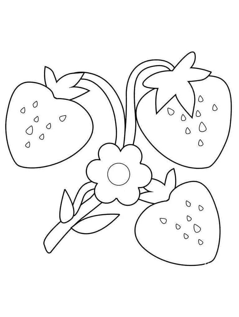 Stroberi Sederhana