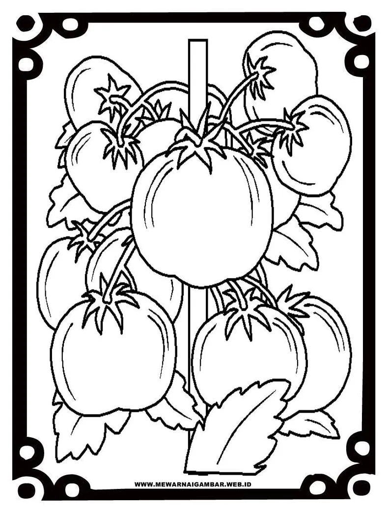 Mewarnai gambar tomat mewarnai gambar