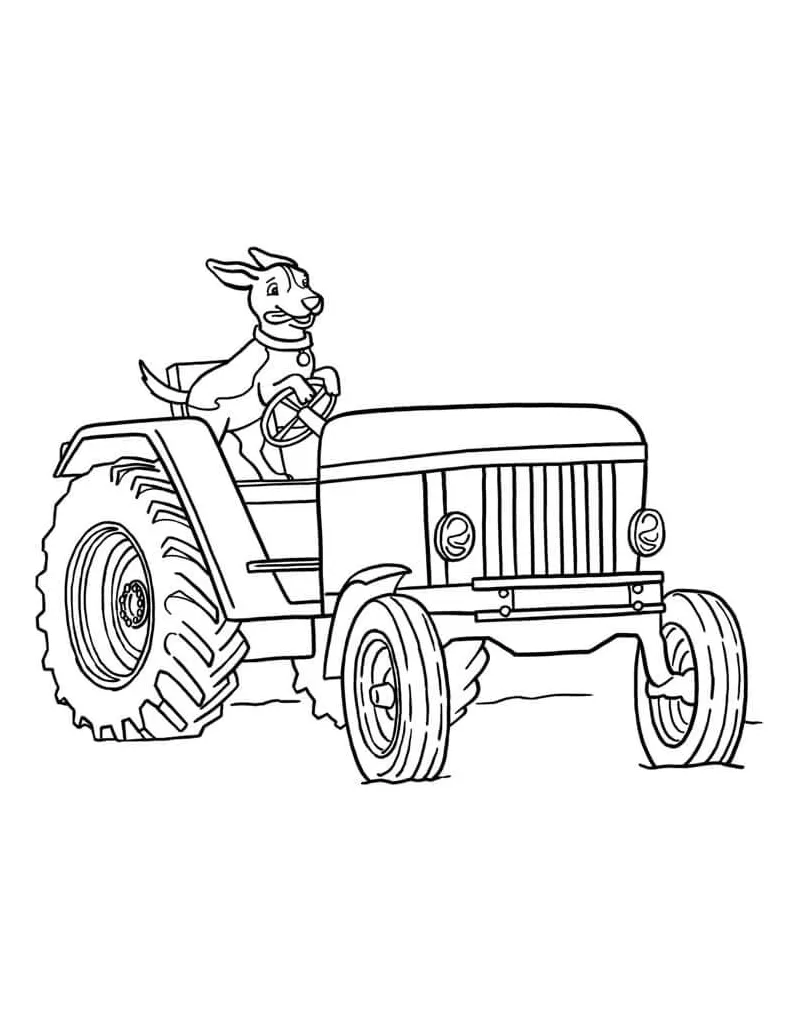 Traktor mengemudi anjing